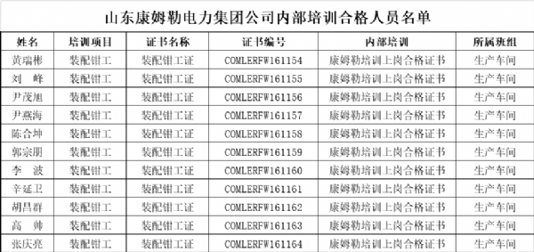 山東康姆勒電力集團公司內部培訓合格人員名單
